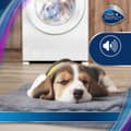 Miniatyrbillede 5 af 7: Cushions - puder CARE CAF 1001