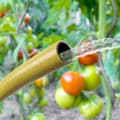 Miniatyrbillede 2 af 2: Tatay Forstærket Haveslange 3/4´´ Agricola 50m Blå