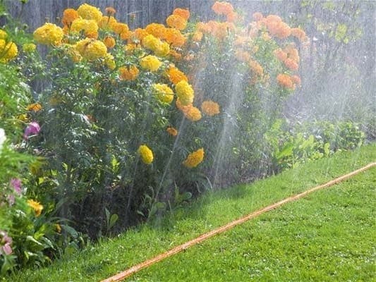 3 tuotteen paketti. Kastelusarja ,,SPRITZ HOSE" 1/2" - 7,5m