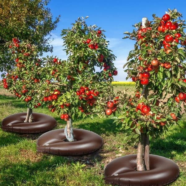 Langtidsvanding / Selvvanding af planter, blomster og frugttræer