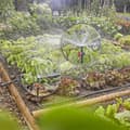 Miniatyrbild 3 av 6: Initieringssats för GARDENA grönsaksträdgårdar - upp till 60m² - 13450-20