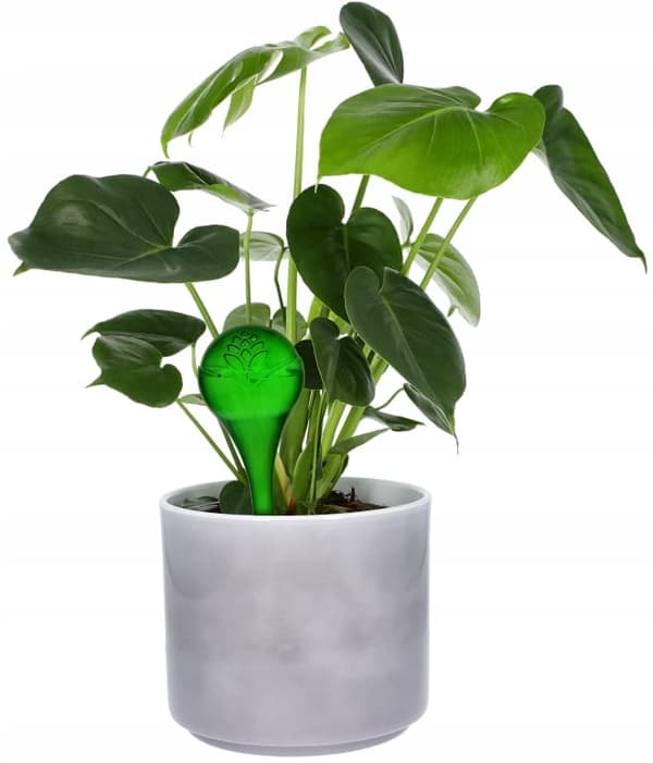 Sæt med 2 vandkugler til blomster 400 ml