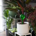 Miniatyrbillede 8 af 9: Sæt med 2 vandkugler til blomster 400 ml