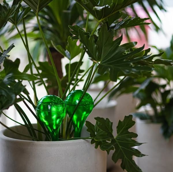 Sæt med 2 vandkugler til blomster 400 ml