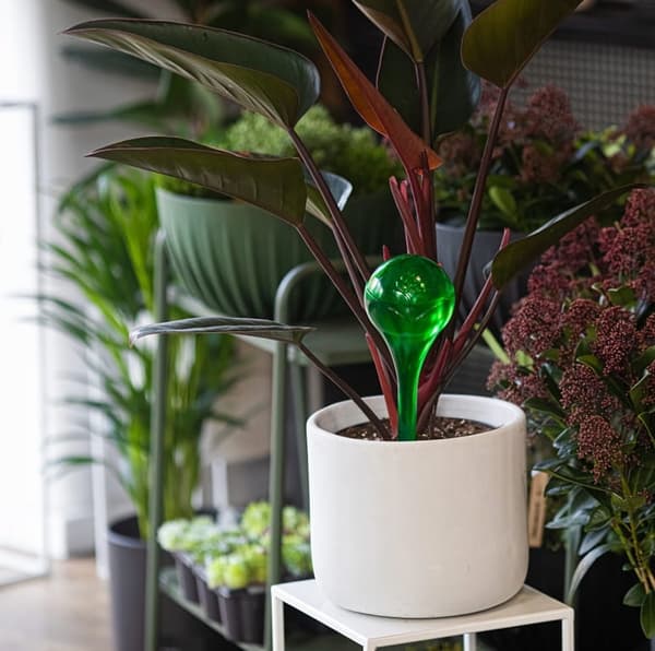 Sæt med 4 vandkugler til blomster 400ml