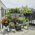 Miniatyrbild 5 av 6: GARDENA AquaBloom Solar Automatisk bevattningslösning - Med vattenreserv - Upp till 20 växter - Droppa (13301-20)