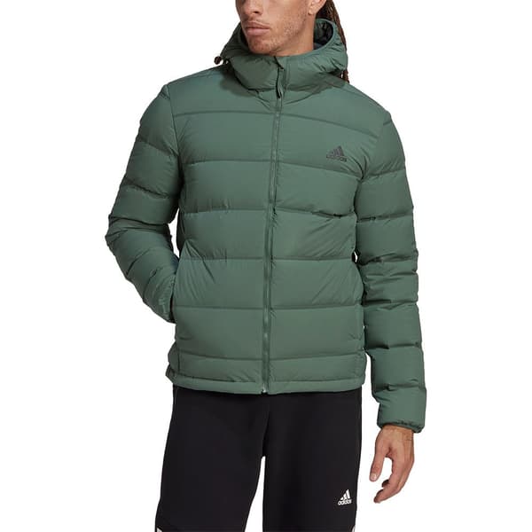 Adidas Sportswear Jakke Helionic Stretch Down Grøn S Mand