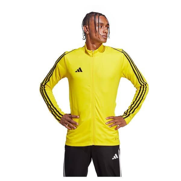 Adidas Jacka Tiro23l Gul L / Regular Man