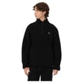 Pikkukuva 1 / 7: Dickies Half Zip Fleece Mount Hope Musta XS Mies