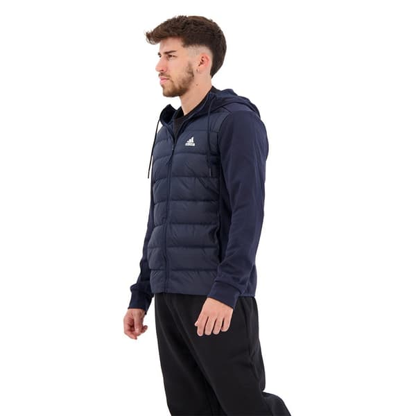 Adidas Jakke Predator Blå L Mand