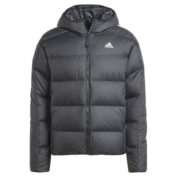 Adidas Jacka Predator Grå XS Man