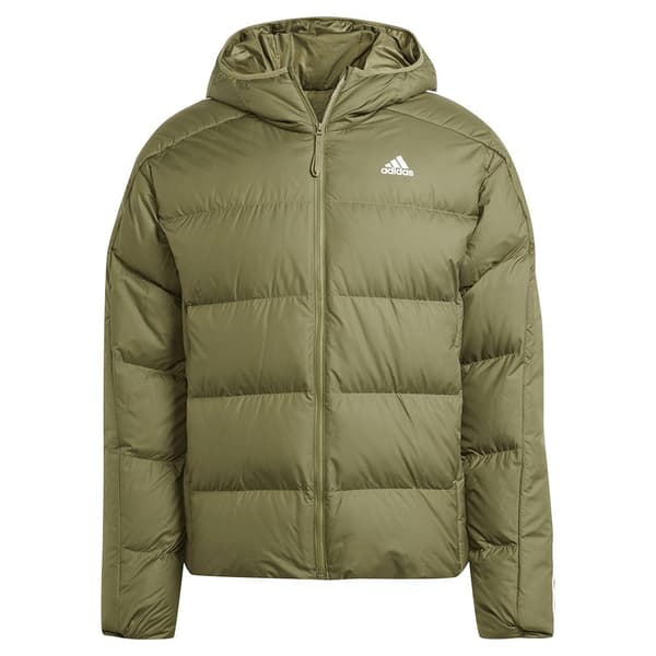 Adidas Jacka Predator Grönt 2XL Man
