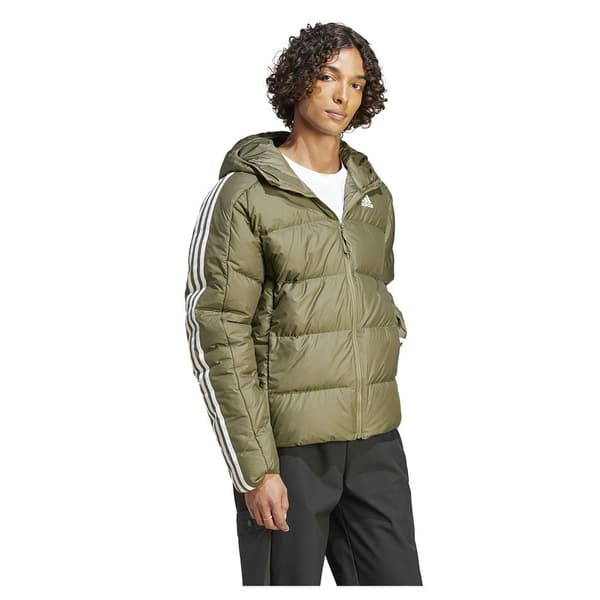 Adidas Jacka Predator Grönt 2XL Man