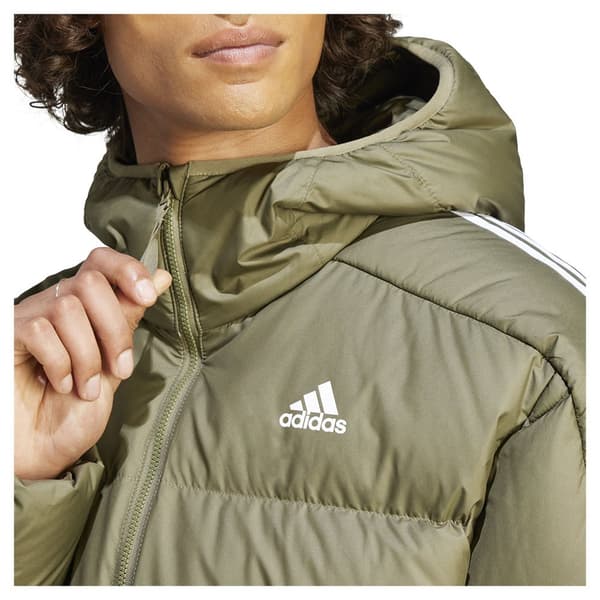 Adidas Jacka Predator Grönt 2XL Man