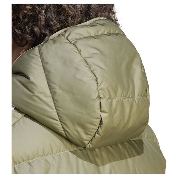 Adidas Jacka Predator Grönt 2XL Man