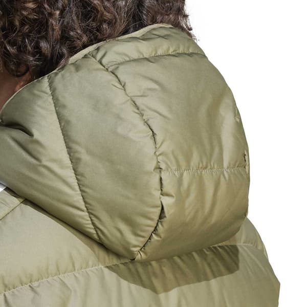 Adidas Jacka Predator Grönt 2XL Man