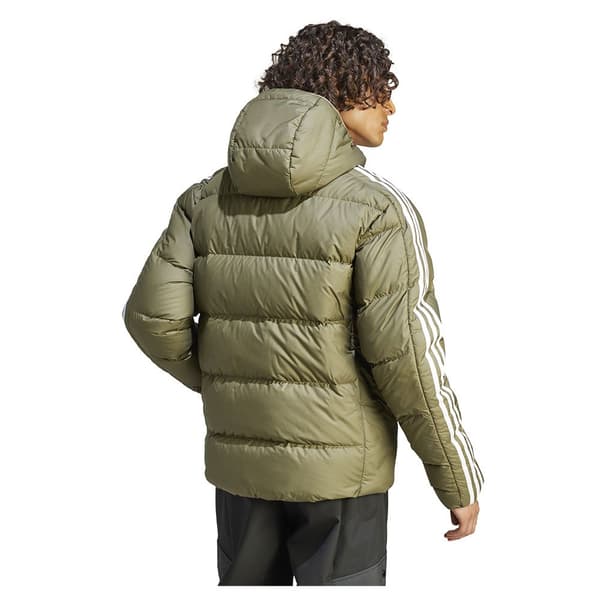 Adidas Jacka Predator Grönt 2XL Man