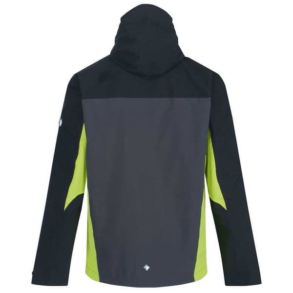 Regatta Takki Birchdale Harmaa 3XL Mies