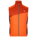 Miniatyrbild 3 av 8: Dare2b Full Dragkedja Fleece Touring Orange XL Man