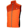 Miniatyrbild 5 av 8: Dare2b Full Dragkedja Fleece Touring Orange XL Man