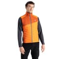 Miniatyrbild 1 av 8: Dare2b Full Dragkedja Fleece Touring Orange XL Man