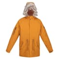 Miniatyrbillede 3 af 10: Regatta Jakke Salinger Iii Brun M Mand