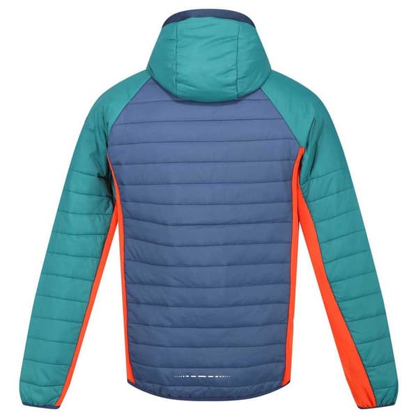 Regatta Jakke Trutton Grøn 2XL Mand