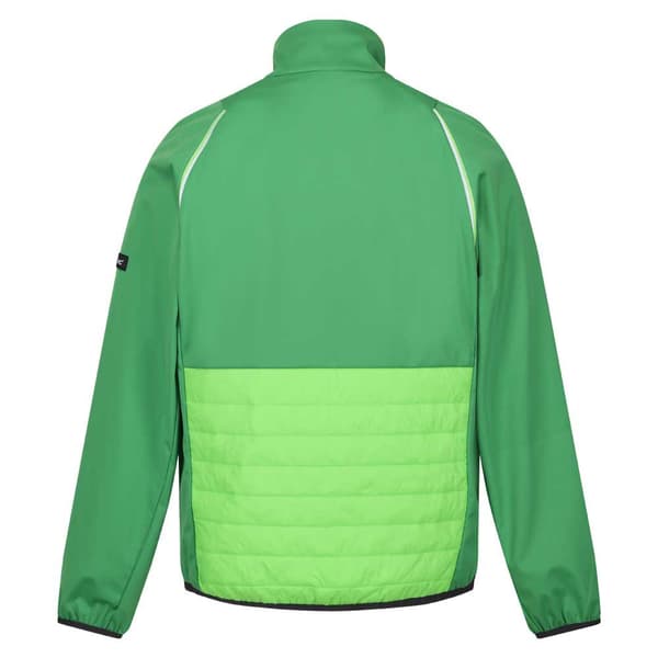Regatta Jakke Steren Hybrid Grøn XL Mand