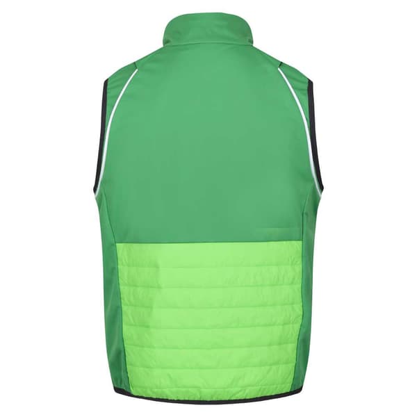 Regatta Jakke Steren Hybrid Grøn XL Mand