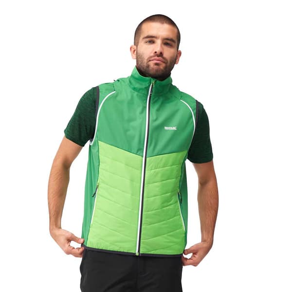 Regatta Jakke Steren Hybrid Grøn XL Mand