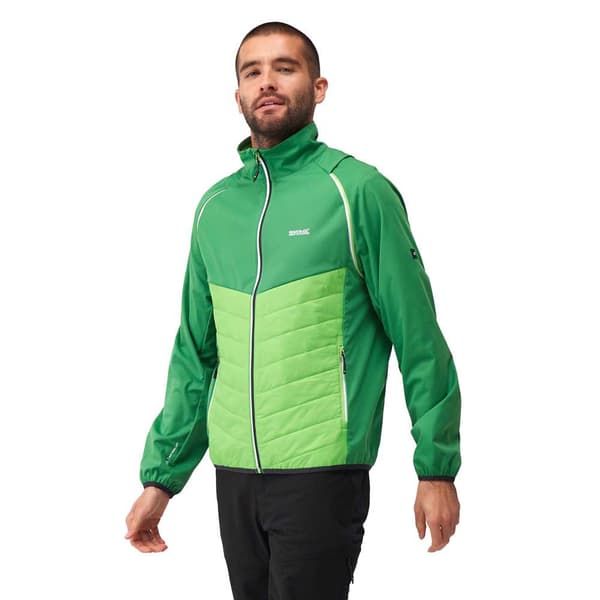 Regatta Jakke Steren Hybrid Grøn XL Mand