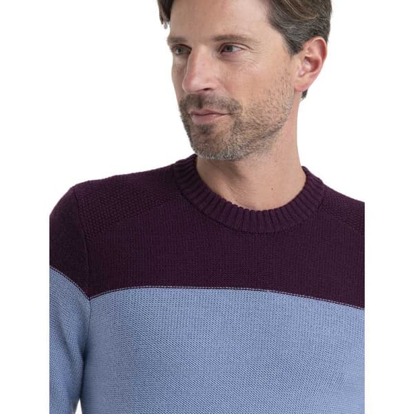 Icebreaker Besætning Hals Sweater Waypoint Merino Lilla L Mand