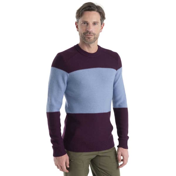 Icebreaker Besætning Hals Sweater Waypoint Merino Lilla L Mand