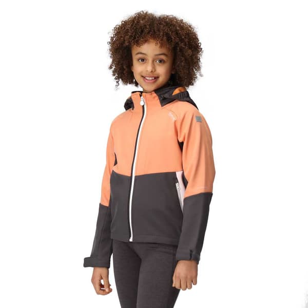 Regatta Junior Jakke Haydenbury Orange,Grå 9-10 Years Dreng