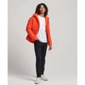 Miniatyrbillede 8 af 8: Superdry Puffer Jakke Fuji Sport Orange S Mand