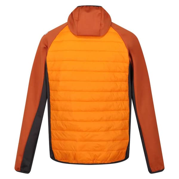 Regatta Jacka Andreson Viii Orange S Man