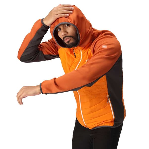 Regatta Jacka Andreson Viii Orange S Man
