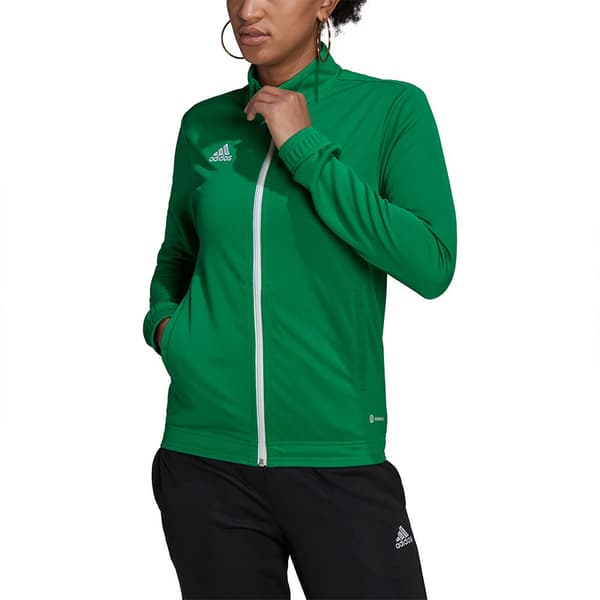 Adidas Jakke Entrada 22 Grøn S / Regular Kvinde