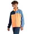 Miniatyrbillede 1 af 7: Dare2b Jakke Cheer Softshell  7-8 Years Dreng