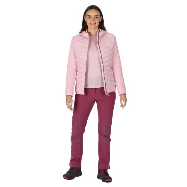 Regatta Takki Andreson Vii Pinkki 16 Nainen