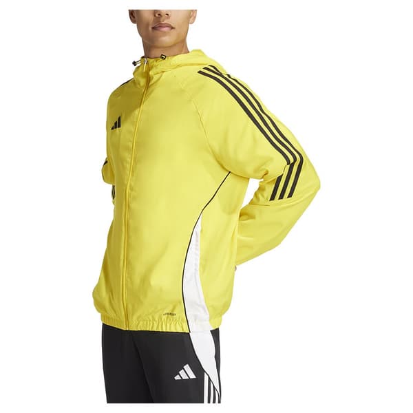 Adidas Jacka Tiro24 Windbreaker Gul M / Regular Man