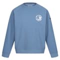 Miniatyrbillede 3 af 8: Regatta Nithdale Fleece Blå XL Mand