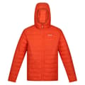 Miniatyrbillede 3 af 9: Regatta Hillpack Jakke Orange L Mand