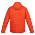 Miniatyrbillede 4 af 9: Regatta Hillpack Jakke Orange L Mand
