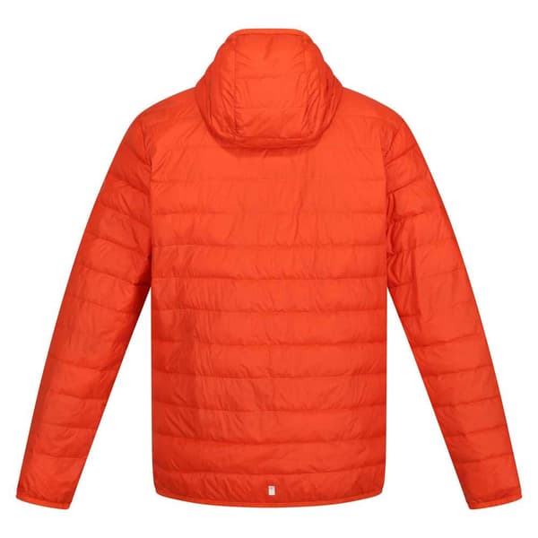 Regatta Hillpack Jakke Orange L Mand