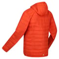 Miniatyrbillede 6 af 9: Regatta Hillpack Jakke Orange L Mand