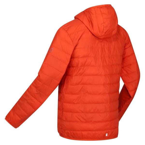 Regatta Hillpack Jakke Orange L Mand