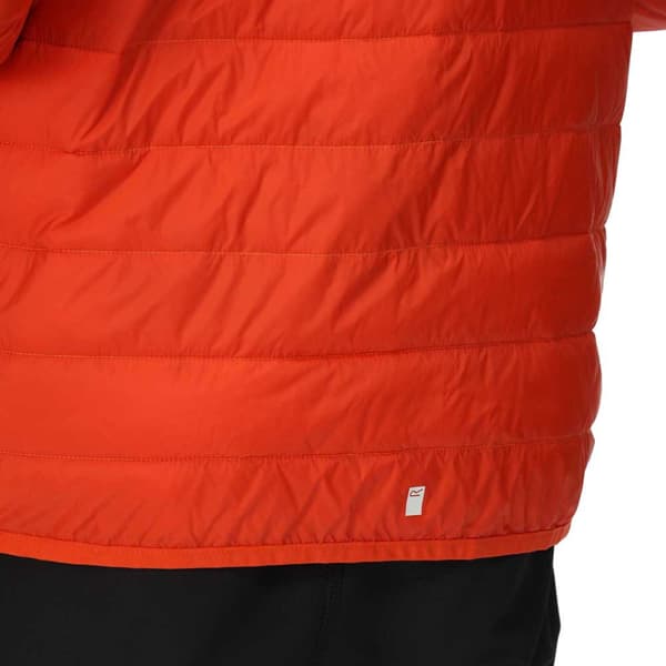 Regatta Hillpack Jakke Orange L Mand