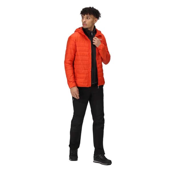 Regatta Hillpack Jakke Orange L Mand