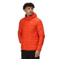 Miniatyrbillede 1 af 9: Regatta Hillpack Jakke Orange L Mand